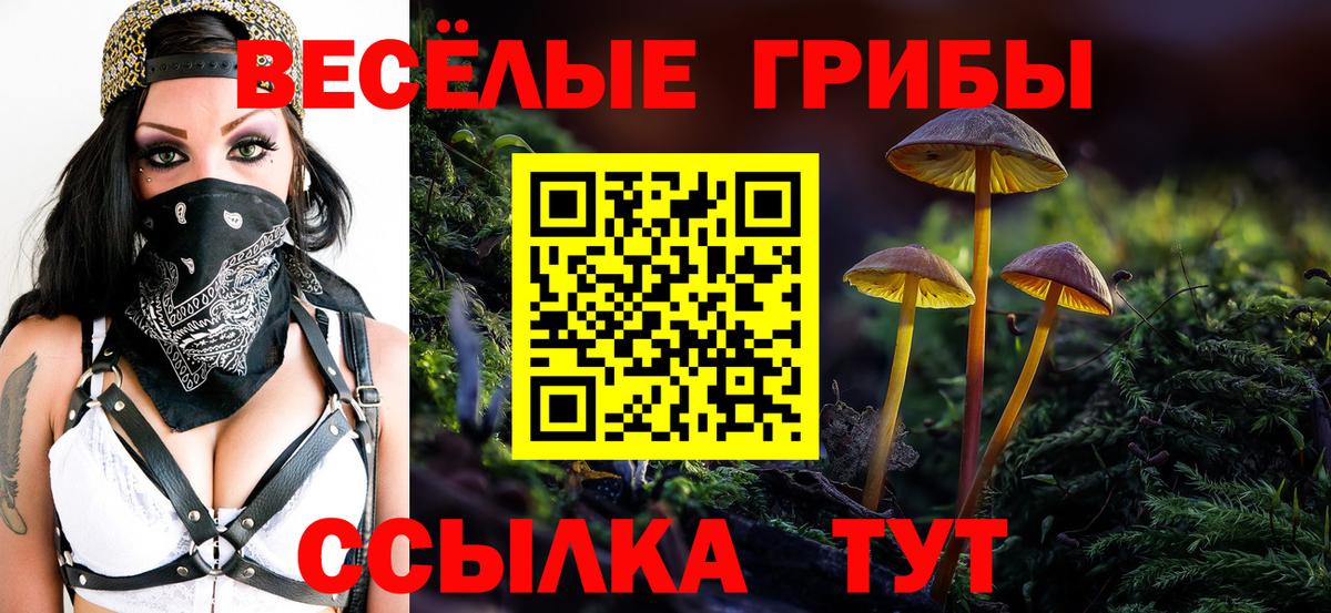 хочу   Вход с VPN  Гуково  Псилоцибиновые грибы Psilocybe 